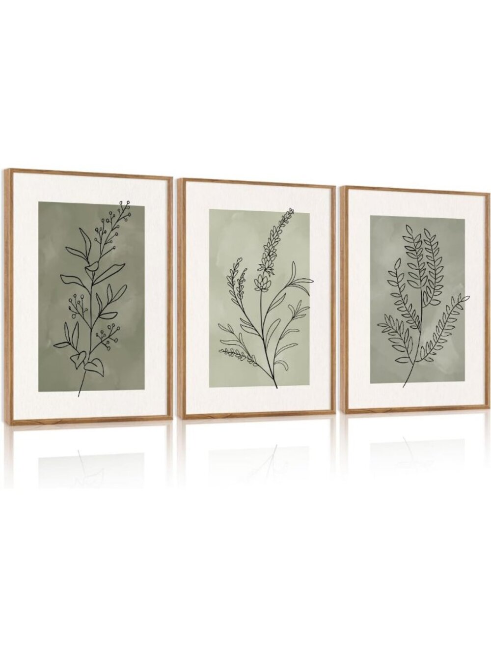 Botanical Sage Leaf Canvas Art Set of 3 | Minimalist Boho Wall Decor, Nature